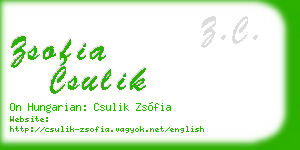 zsofia csulik business card